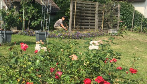 Gartenpflege